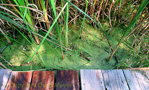 lake_andes2