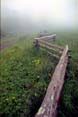 foggy_fence