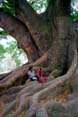 tree_lovers